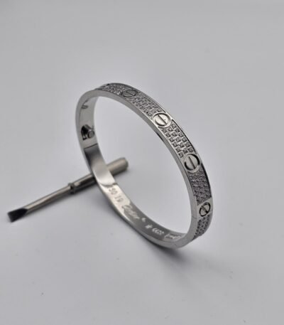 Cartier Love modeli ince fulltaş gümüş bilezik
